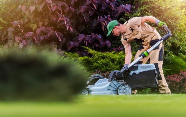 Yard Care Service in Sebring
