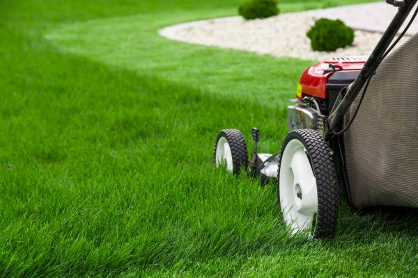Yard Maintenance in Sebring