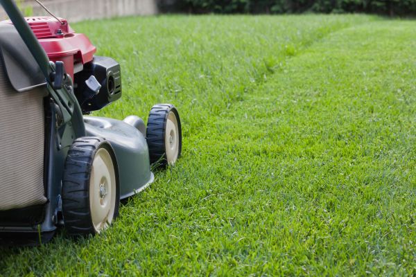 Residential Lawn Care in Sebring