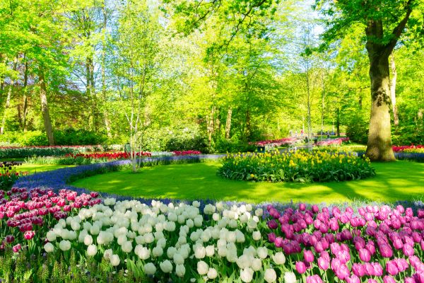 Spring Lawn Care in Sebring