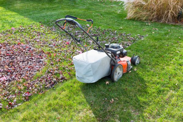 Seasonal Lawn Care in Sebring