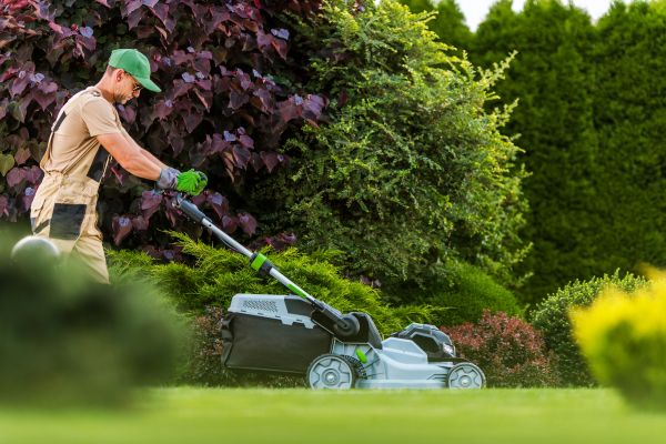 Lawn Management in Sebring