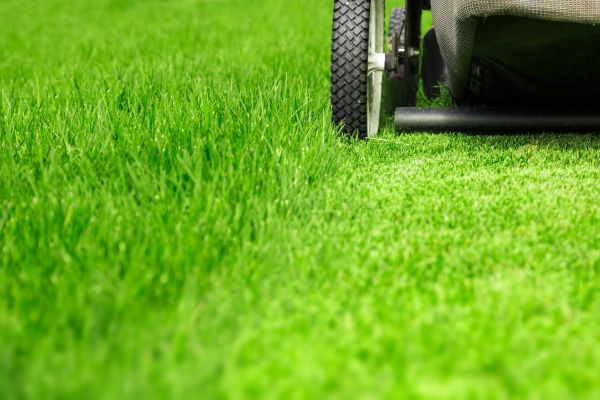 Weekly Lawn Care in Sebring