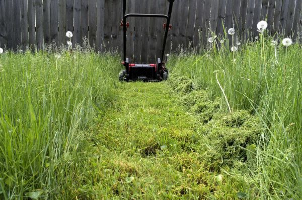 High Grass Mowing in Sebring