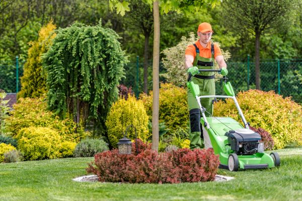 Commercial Yard Maintenance in Sebring