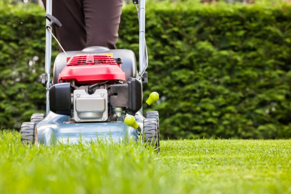 Grass Trimming Service in Sebring