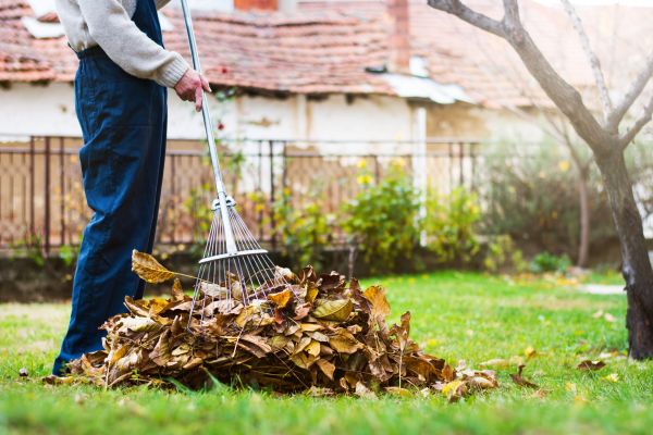 Routine Lawn Maintenance in Sebring