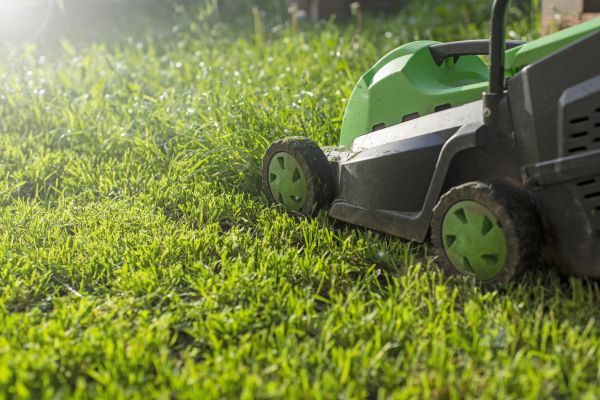 Yard Trimming in Sebring