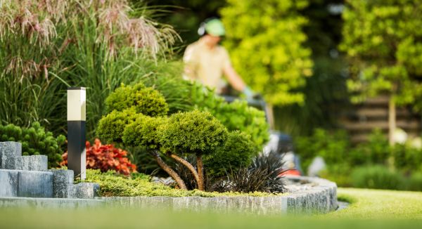 Residential Yard Maintenance in Sebring