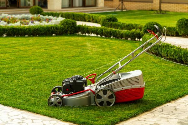 Business Grass Cutting in Sebring
