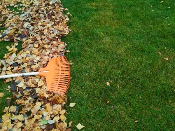 Fall Lawn Care in Sebring