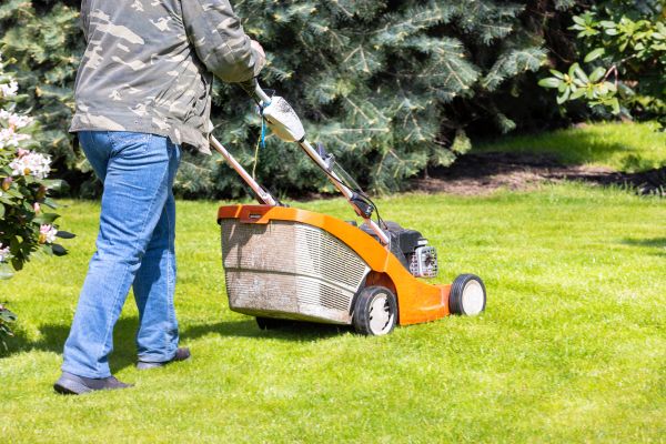 Springtime Lawn Care in Sebring