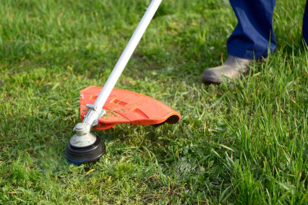 Lawn Weed Whacking in Sebring