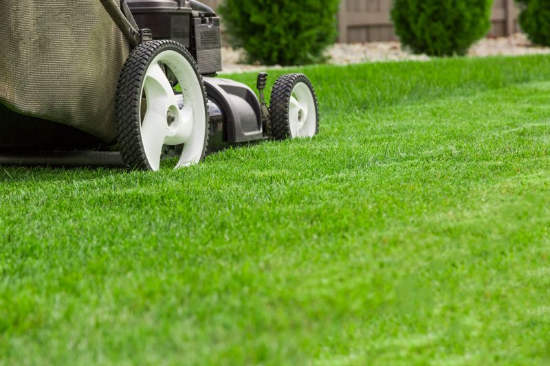 Business Lawn Maintenance detail