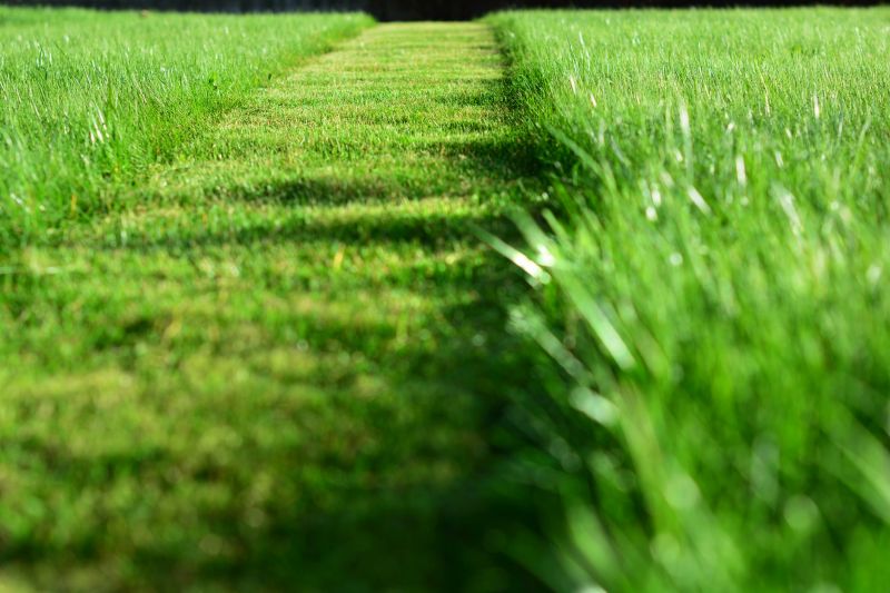 Lawn After Mowing