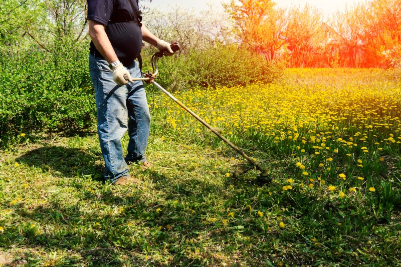 Spring Grass Trimming